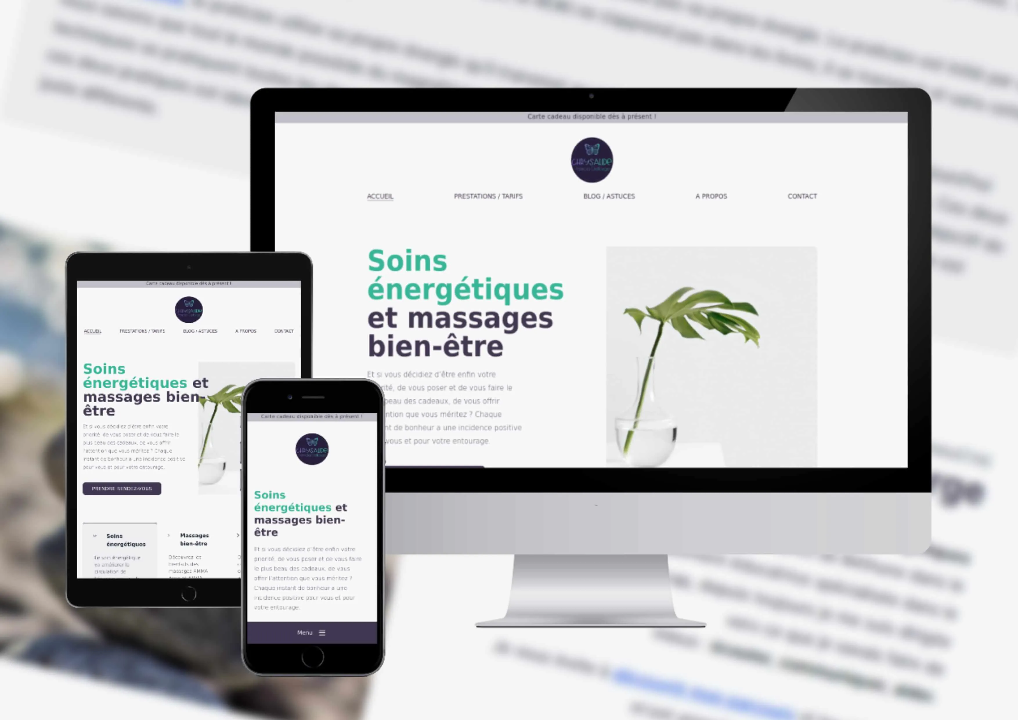 Page d'accueil du site de Chrysalide